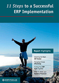 erp implementation - thumbnail 200
