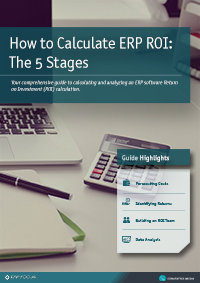 ERP ROI thumbnail