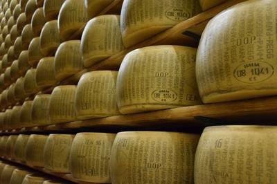 food ERP - parmesan cheese production food ERP - parmesan cheese production