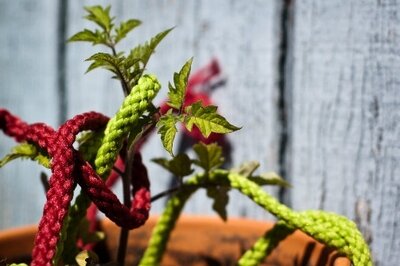 ERP Theory of Constraints - Constraint