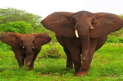 Replacing Your ERP System…More or Less?