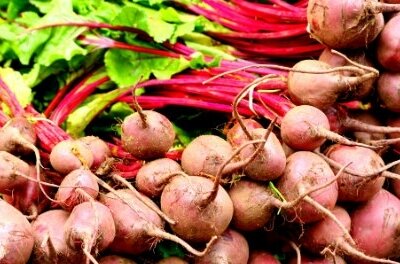 ERP Project Manager Turnips