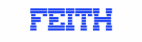 Feith Systems Logo