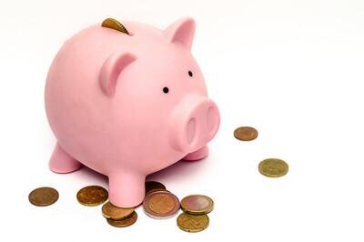 ERP finance module - piggy bank