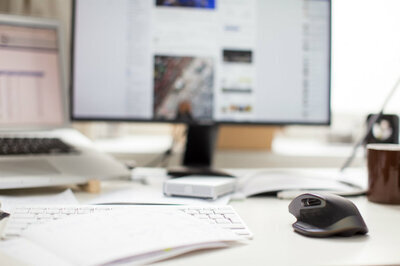 StockSnap RALDM02X8S