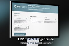 ERP cost and budget - piles of coins