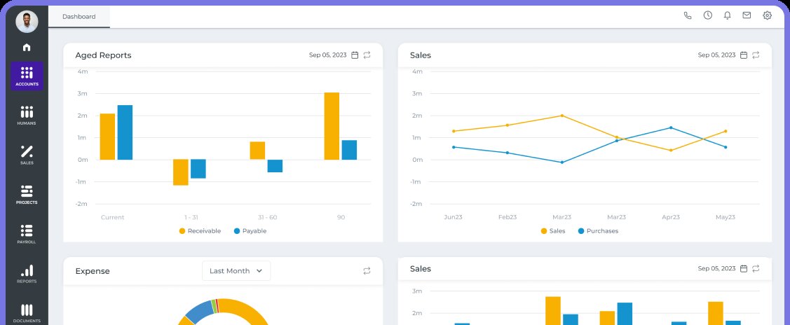 KPI.com's accounting app dashboard featuring aged reports, sales and expenses